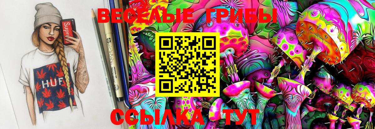 Псилоцибиновые грибы Cubensis Курганинск
