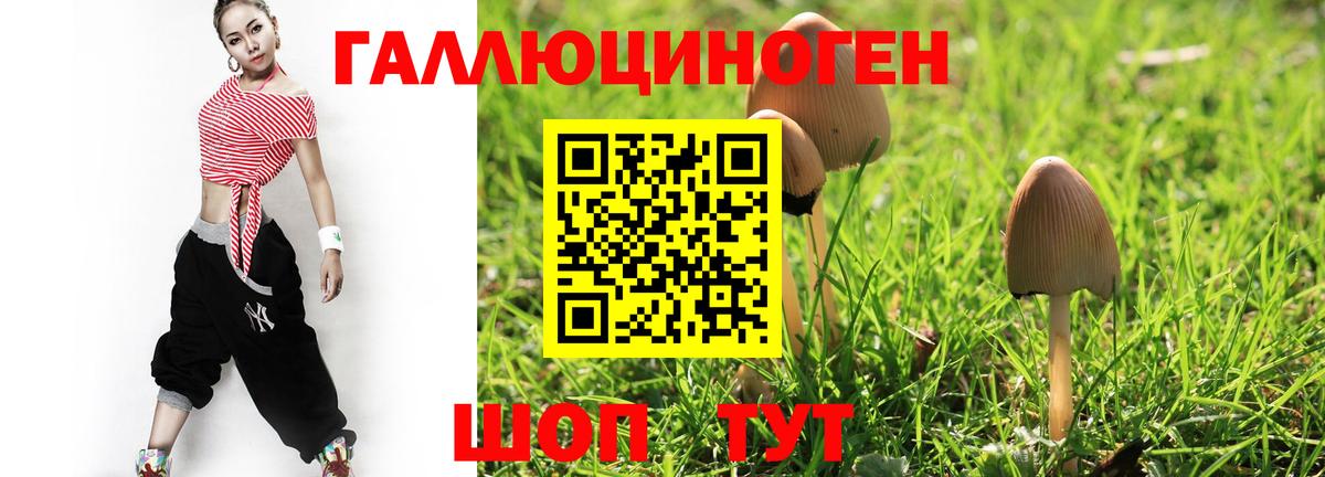 Курганинск  Псилоцибиновые грибы Cubensis  Вход с VPN 